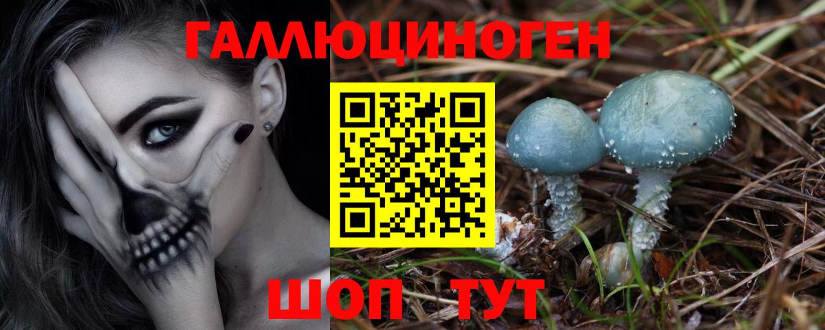 Саранск  Галлюциногенные грибы ЛСД  Вход с VPN 